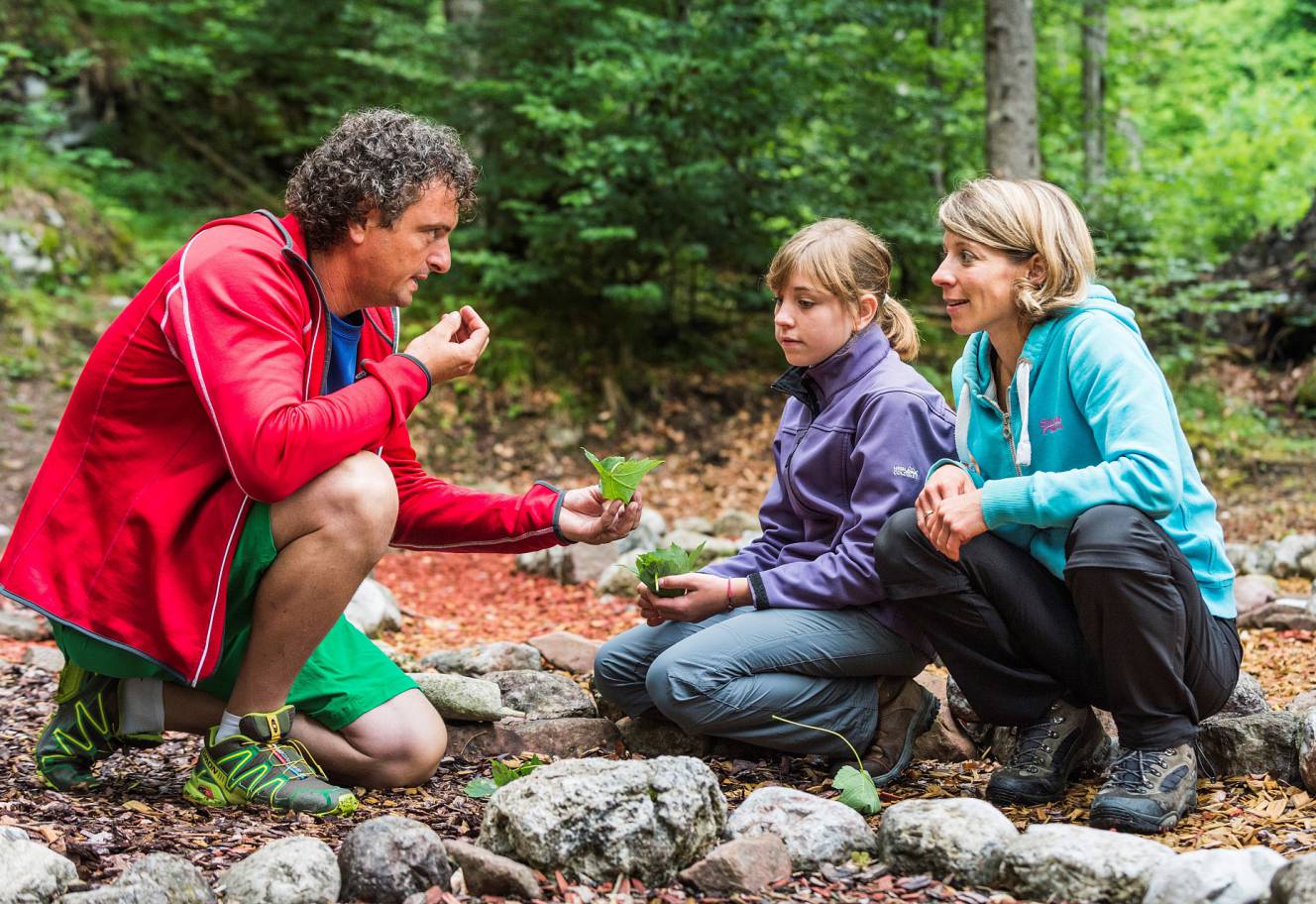 Wanderung und Natur kennen lernen