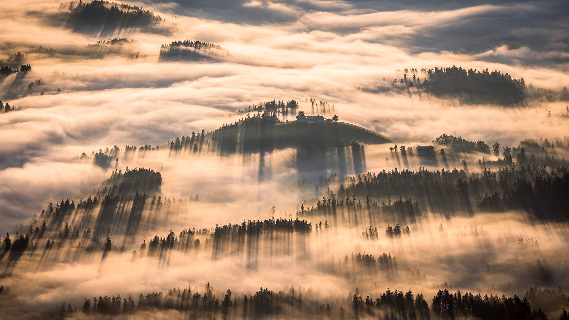 Sonnenaufgang in de Region des Wilden Kaiser