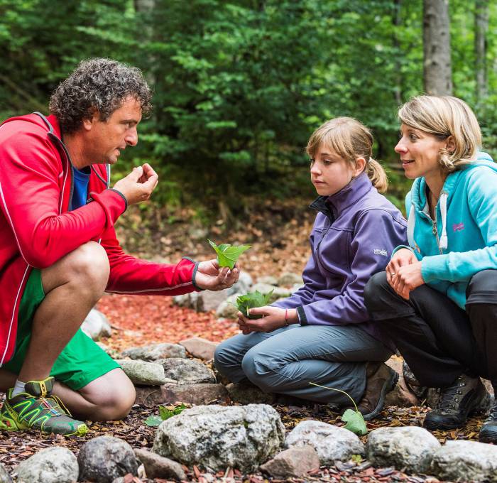 Wanderung und Natur kennen lernen