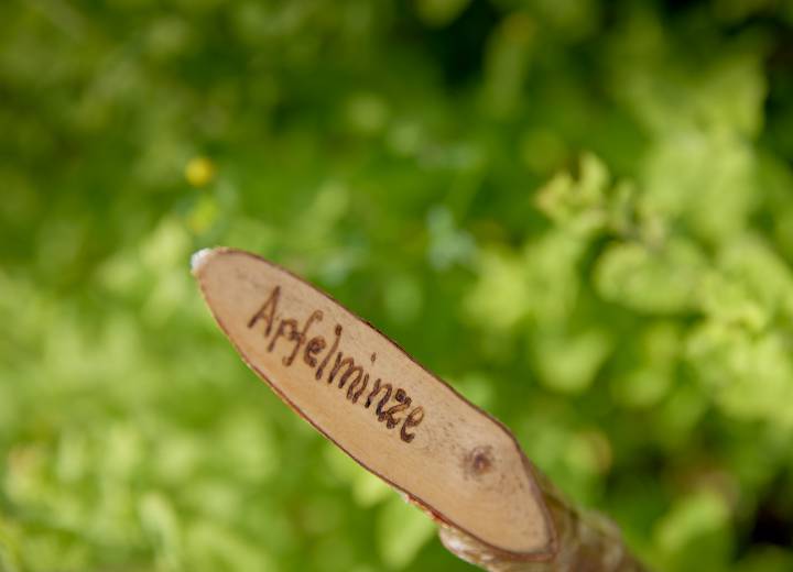 Holzschild für Apfelminze